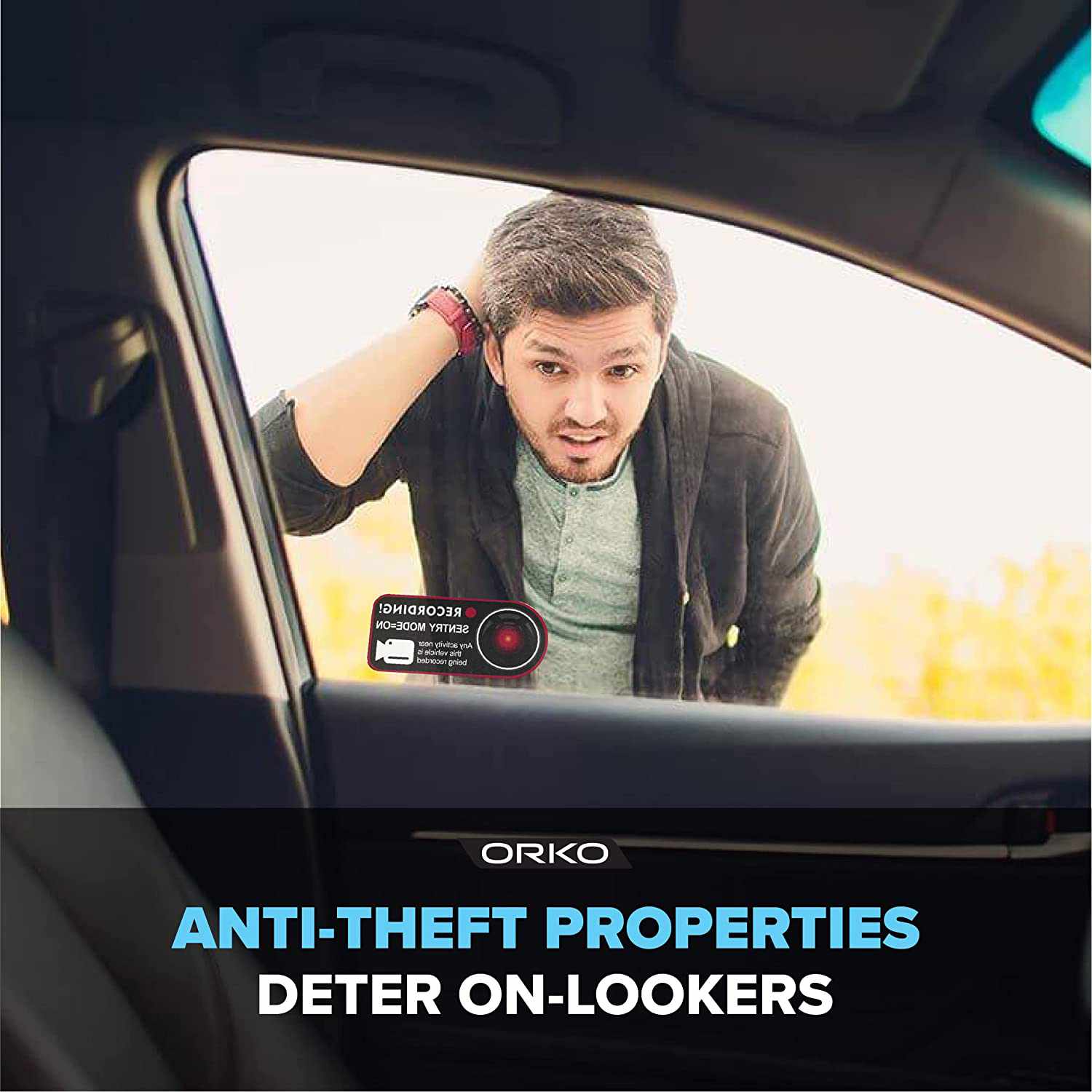 Model S, 3, X, Y Sentry Mode Window Sticker