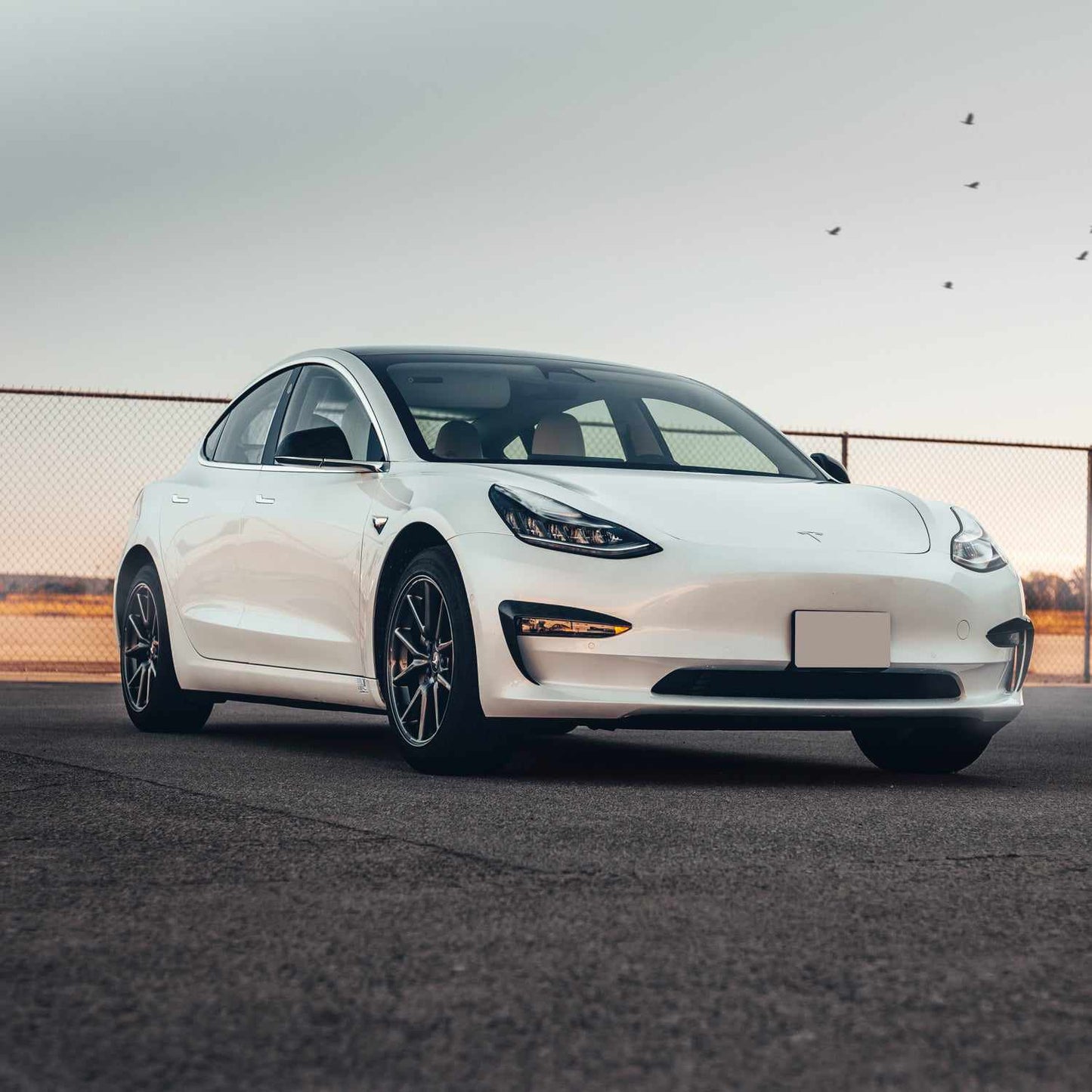 Model 3 Genuine Carbon Fiber Fog Light Accents/Eyebrow (Pair)