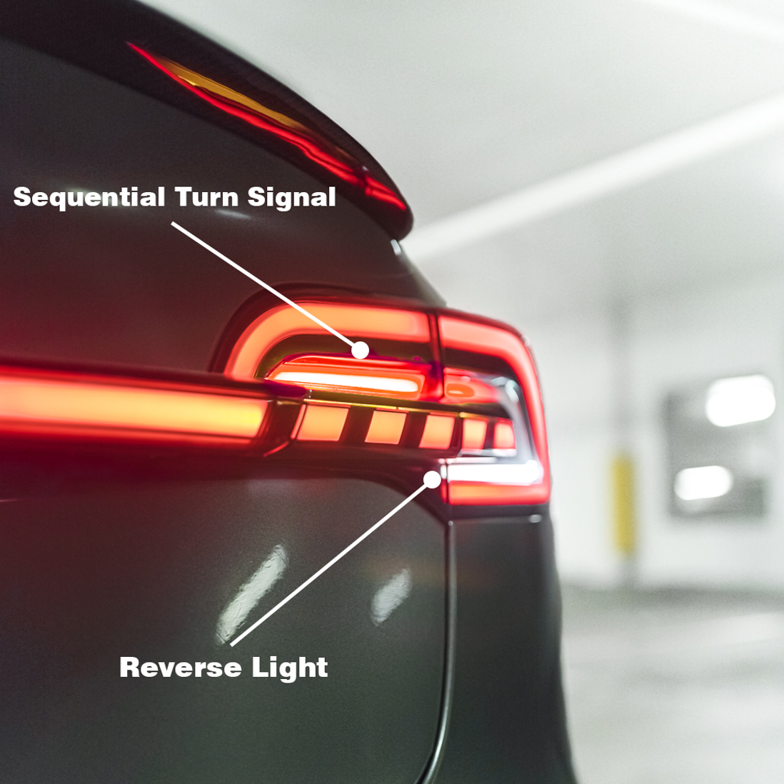 Model 3/Y Cyber Tail Light