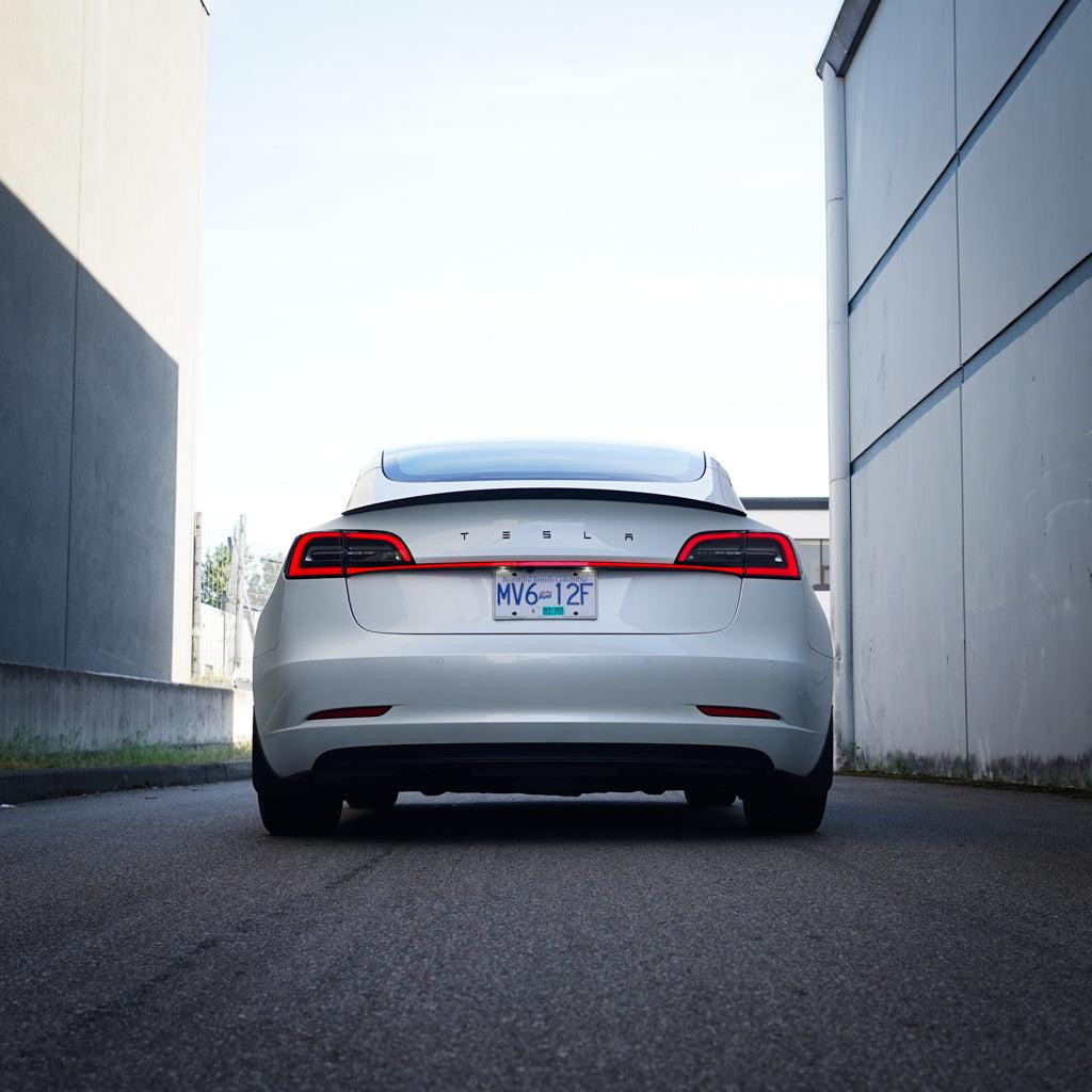 Model 3/Y Starlink Tail Light